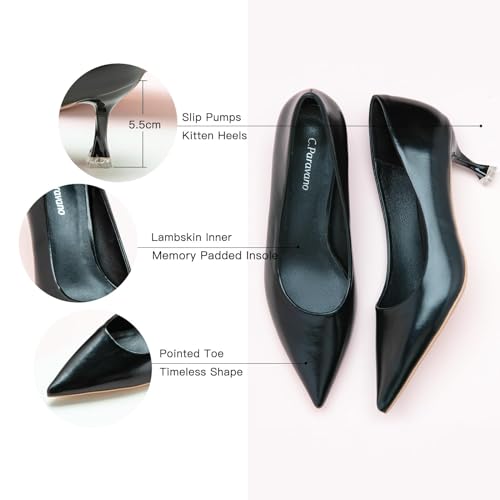 C.Paravano Pointy Heels Wedding Shoes Dressy Low Heel Work Casual Heels Flight Attendant Heels Pointed Toe Pumps for Office Wear and Casual Outfits(Size 9.5,Beige)