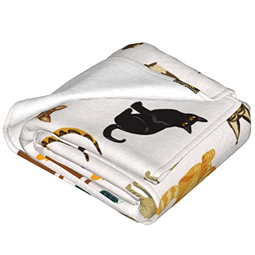 Cute Cat Cartoon Kitten Throw Blanket Soft Bed Blankets Lightweight Cozy Plush Flannel Fleece Blanket for Sofa Couch Bedroom 50"X40"