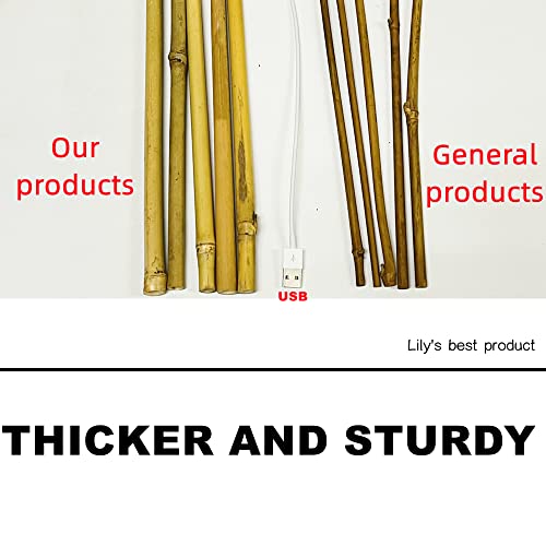 HOPELF 50 Pack 3ft Bamboo Plant Stakes for Wood Garden Sticks,Wooden Plant Supports,Bamboos,Trellis,Crafts, More Size Choices 8"/12"/16"//2'/3'/4'/5'/6'