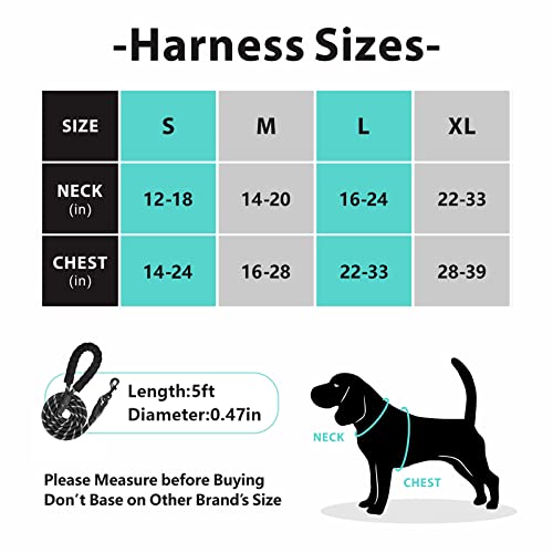 PoyPet No Pull Dog Harness and 5 Feet Leash Set, Release on Neck Reflective Adjustable Pet Vest, Front & Back 2 D-Ring and Soft Padded Pet Harness with Handle for Small to Large Dogs(Tumalo Teal,M)
