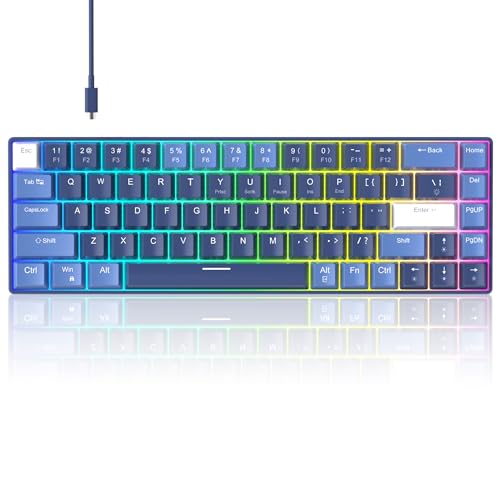 MageGee Portable 60% Mechanical Gaming Keyboard, Hot Swappable Blue Whale Switch, RGB Backlit Compact 68 Keys Mini Wired Gradient Custom Keyboard for Windows Laptop PC, with Silencing Cotton, Black