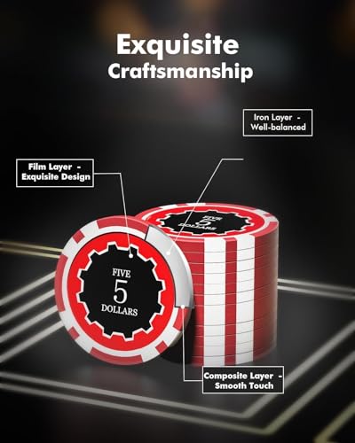 Poker Chips with Denominations, 300-pcs 11.5g Weighted Numbered Casino Chips Set, 5 Dice, 2 Decks with Compact Aluminum Case for Texas Hold'em, Blackjack, Age 8 and Plus