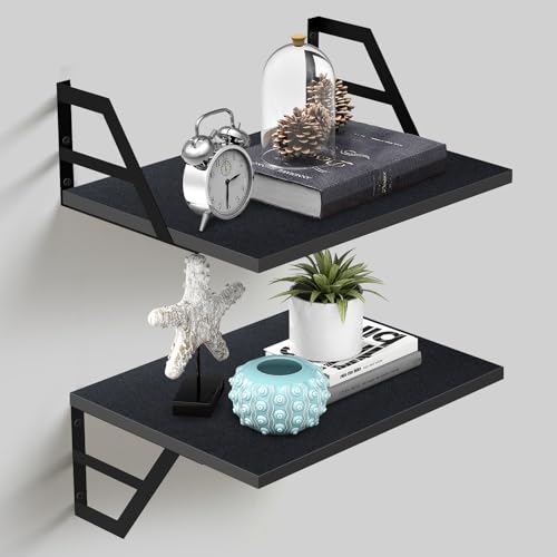 Tectocker-DOU Set of 2 Deep Floating Shelves; Wall Mounted Book Shelf for Living Room, Bedroom Shelves for Wall Decor; Shelves for Wall Storage; Shelving with Metal Brackets, 12 Inches (Black)