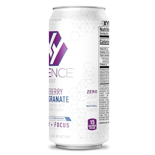Xyience Blueberry Pomegranate Energy Drink, 16 fl oz can (Pack of 12)