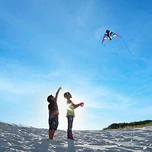 Kaiciuss Delta Kite for Kids & Adults Easy to Fly Large, Sing Line for Beginners, Easy Flying Kite for Boys & Girls with 4 Ribbon and 300 ft String Handle