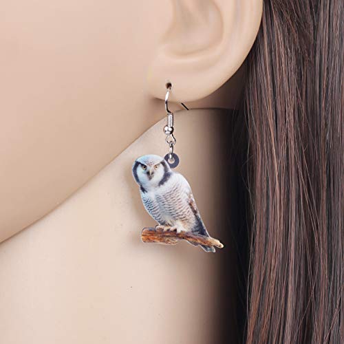 BONSNY Drop Dangle Cute Fun Brown Owl Earrings Bird Jewelry For Women Gift Charms (Arctic)
