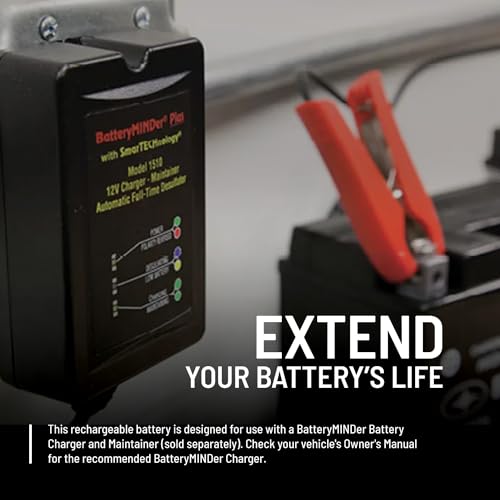 Polaris 12V 14Ah Sealed Rechargeable Battery for Specific Sportsman, Scrambler, ATP, Trail Boss, RANGER EV Models and More, ETX15, 190A CCA, Spill Proof, Maintenance Free UTV, ATV Battery - 4011138