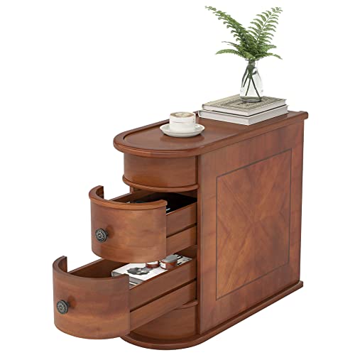 Tribesigns End Table with 2 Drawers, Black Sofa Side Table with Storage, No Assembly Required, Closed Back, Slim Nightstand Vintage Wood Chairside Bedside Narrow Accent Table for Living Room Bedroom