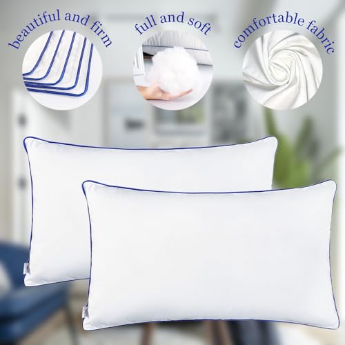 Wuuyuef 12 x 20 Pillow Insert Set of 2 Indoor Throw Pillow Insert, Rectangle Decorative Pillows Inserts, Throw Pillows for Couch,Throw Pillows for Bed,White Throw Pillows