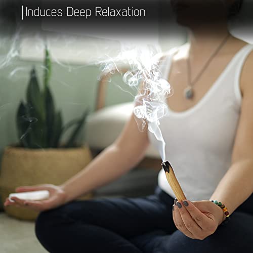 Wish Well Sage Smudge Kit - 3 Dragons Blood Sage Sticks, 2 Palo Santo Sticks, Abalone Shell, Stand, Feather, 7 Chakra Stones & Crystal Bracelet ~ Sage Incense Sticks for Cleansing House & Meditation