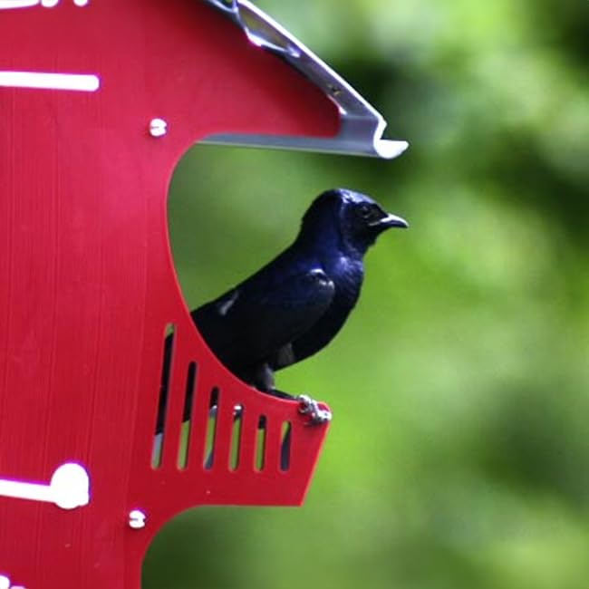 S&K 16-Room Purple Martin House Package – Complete Kit with Barn-Style Martin House, Triangular Pole, Decoys & Guidebook
