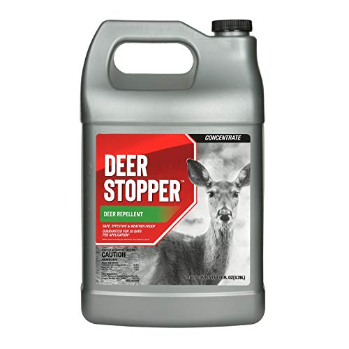 Messina DSC128 1 Gallon Concentrate Deer Stopper
