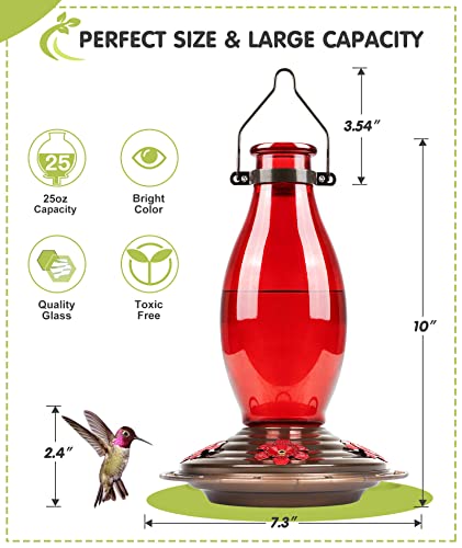 BOLITE Hummingbird Feeder, Glass Hummingbird Feeders for Outdoors Hanging, Five Feeding Ports, 22 Ounces, Red Bottle