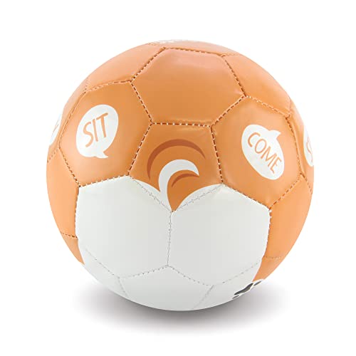 Daball Kid and Toddler Soccer Ball - Size 1, Pump and Gift Box Included (Cookie, The Corgi)