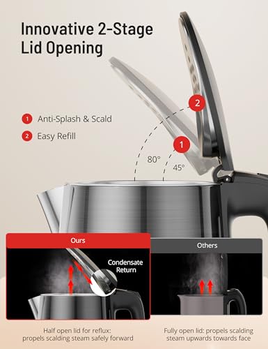 Electric Kettle for Boiling Water, Paris Rhone 1.7L Visual Water Window Stainless Steel Electric Water Kettle, 1500W BPA-Free Hot Water Kettle Pot, Auto Shut Off & Boil-Dry Protection, Silver