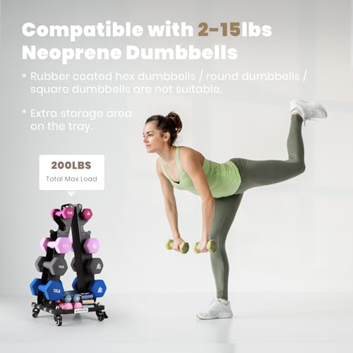 LIONSCOOL Premium Solid Dumbbell Rack Stand Only, A-Frame Portable Weight Storage Organizer with Optional Tray and Wheels, Perfect for Home Gym Fitness Equipment Storage (20LBS/90LBS/200LBS/300LBS/700LBS Weight Capacity Available) (Small, 200 LBS)