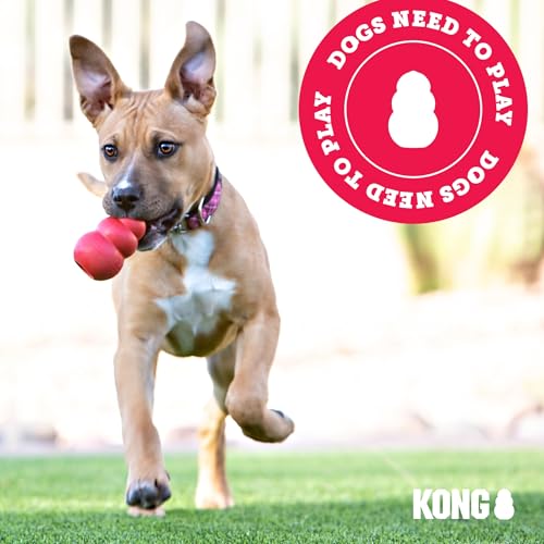 KONG Extreme Ball with Hole - Fetch Toy - Durable Dog Toy for Training, Interactive Playtime & More - Natural Extreme Rubber Ball - Black - for Large/Medium Dogs