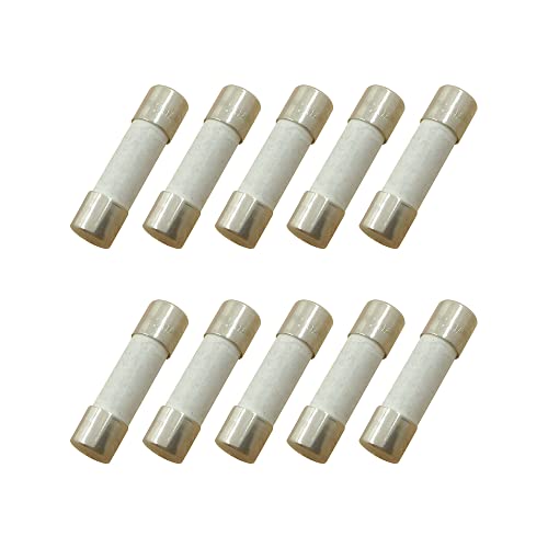 YOLISTIC (Pack of 10) 1 Amp Slow-Blow Time Delay Fuse Ceramic 5x20mm