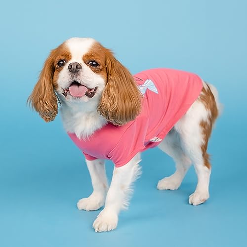 Doggy Parton to Look This Cheap T Shirt - XS