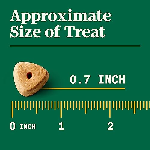 NUTRO Crunchy Dog Treats with Real Mixed Berries, 10 oz. Bag