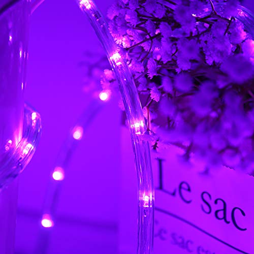 HuiZhen 100 Feet 720 LED Rope Lights,2-Wire Low Voltage Waterproof Rope Lights Outdoor,Indoor Background Lighting Idear for Trees,Bridges,Eaves,Pool,Wedding Use(Purple)