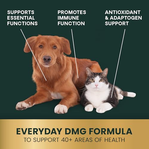 VETRISCIENCE DMG Immunity Health Easy-Dose Liquid, Vetri DMG Immune Support Supplement for Dogs and Cats, Hypoallergenic, Support Performance, Stamina, Immune Response, DMG (Dimethylglycine), 114 ml