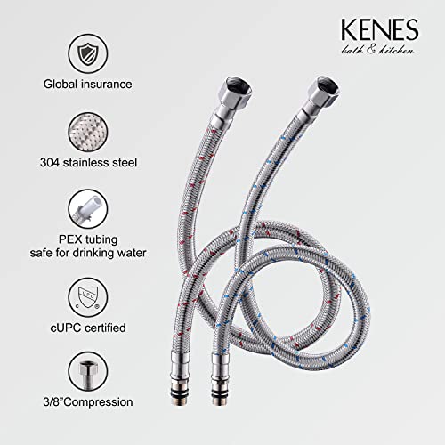 KENES Single Handle Bathroom Sink Faucet, Brushed Nickel Vanity Faucet for Bathroom Sink, with Pop Up Drain Stopper & Water Supply Lines LJ-9031