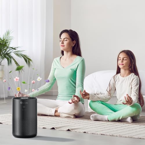 Air Purifiers for Bedroom up to 588 Ft², 20dB Bedroom Air Purifier for Small Room Removes Dust Pets Hair Smoke Odor with Aromatherapy Function(Black)