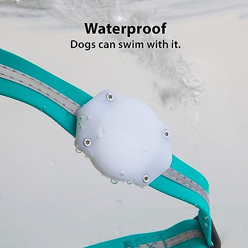 TagVault™ AirTag Dog Collar Mount (2 Pack) - IP68 Waterproof, Doesn't Dangle, Fits All Width Collars | Elevation Lab