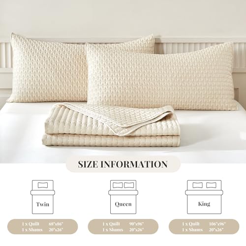 WARMDERN Beige Quilt Sets Queen Size, Cooling Summer Quilt for Hot Sleepers, Soft Lightweight Bedding Bedspread Coverlets for All Season(Beige, Queen)