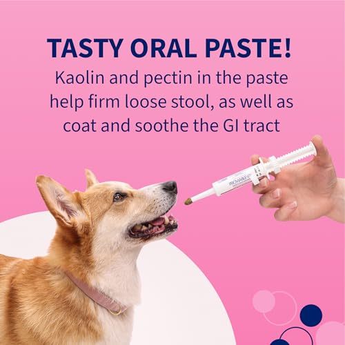 Proviable Digestive Health Supplement Kit with Multi-Strain Probiotics and Prebiotics for Medium to Large Dogs - with 7 Strains of Bacteria, 30 mL Paste and 10 Capsules