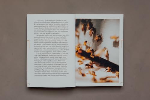 Do Beekeeping: The secret to happy honeybees (Do Books, 11)