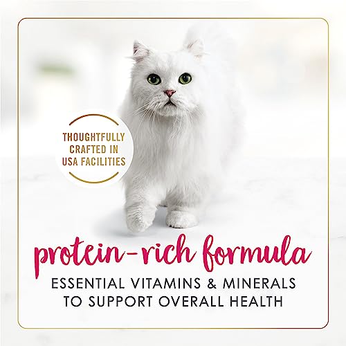 Purina Fancy Feast Kitten Tender Ocean Whitefish Feast and Tender Turkey Feast Wet Kitten Food Variety Pack - (2 Packs of 12) 3 oz. Cans