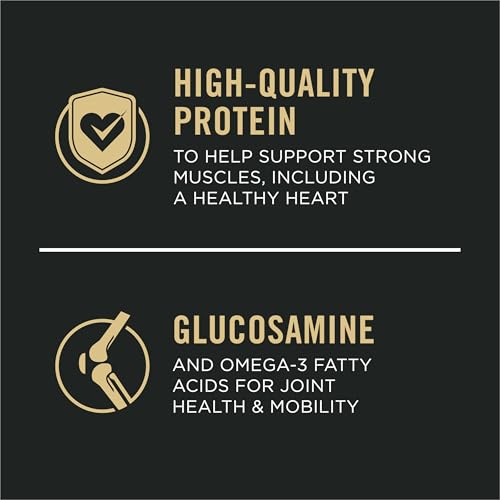 Purina Pro Plan Senior Dog Food With Probiotics for Dogs, Shredded Blend Chicken & Rice Formula - 6 lb. Bag