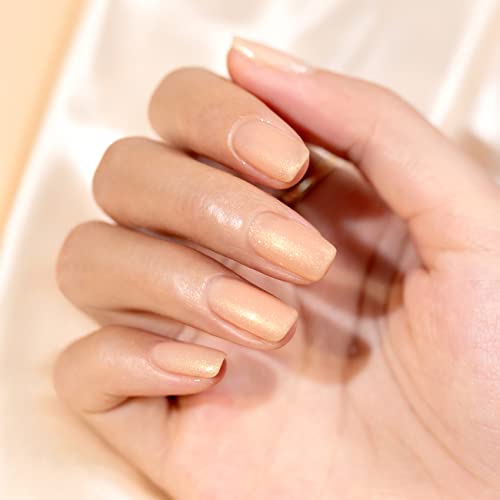RARJSM Gel Nail Polish Nude Glitter Pale Ivory Sparkle Holographic Rainbow Chunky Red Shimmery Iridescent Jelly Nude Skin Tone Gel Polish Single Bottle Soak off UV LED Cured for Home Salon 15ML