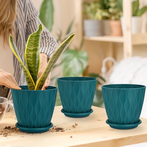 YNNICO 6 inch Plant Pots, 5 Pack Flower Pots Outdoor Indoor, Planters with Drainage Hole and Tray Saucer.