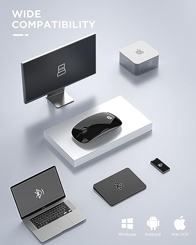 RAPIQUE Bluetooth Wireless Mouse - (BT5.1+USB) Slim Dual Mode Computer Mice with Quiet Click, Low Power, and 1600 DPI, Portable Mouse for MacBook, Laptop, iPad Pro/Air, Surface Pro (Black)