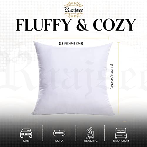 raajsee 16x16 Pillow Inserts Set of 2, Firm nd Fluffy Down Alternative Throw Pillows for Couch, Pillow Stuffing for Couch Sham Filler, Sofa Pillow from 16x16, Throw Pillow Inserts 16 x 16