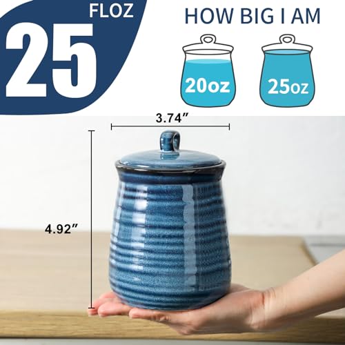 Hasense Ceramic Food Storage Jars Set of 3,25 FL OZ Kitchen Canisters with Airtight Lids, Coffee,Tea and Sugar Containers, Farmhouse Decor for Kitchen, Blue