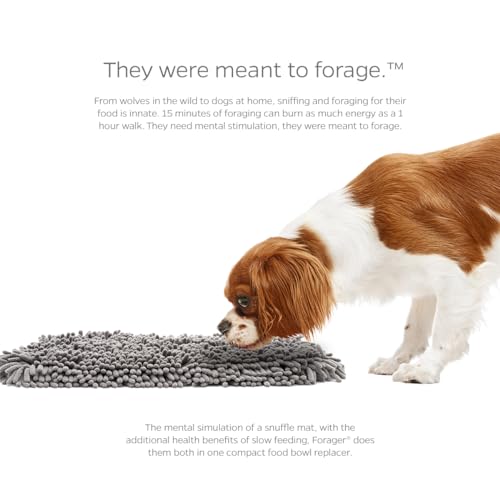 Pet Parents® Forager® Mats, Snuffle Mat for Dogs with SoftSnout & Non-Slip Backing Technology, Slow Feeder Dog Bowls & Snuffle Mat for Large Dogs and Small Dogs (Forest 12")