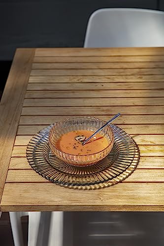 Fortessa Archie Glass 12 Piece Dinnerware Set, Service for 4, Clear