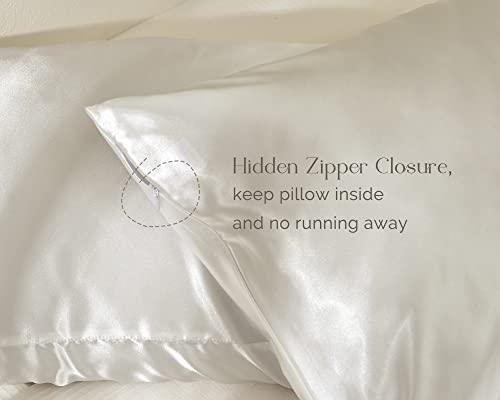 YANIBEST Satin Pillowcase, Silk Pillow Cases for Hair and Skin with Zipper, Queen Pillow Cases Set of 2 for 20"x30", Exquisite Packaging for Women Men