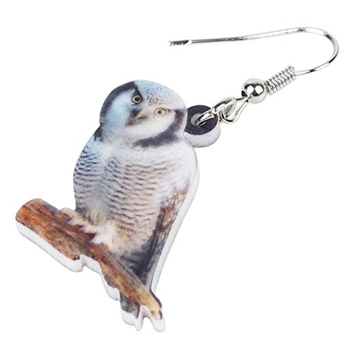 BONSNY Drop Dangle Cute Fun Brown Owl Earrings Bird Jewelry For Women Gift Charms (Arctic)