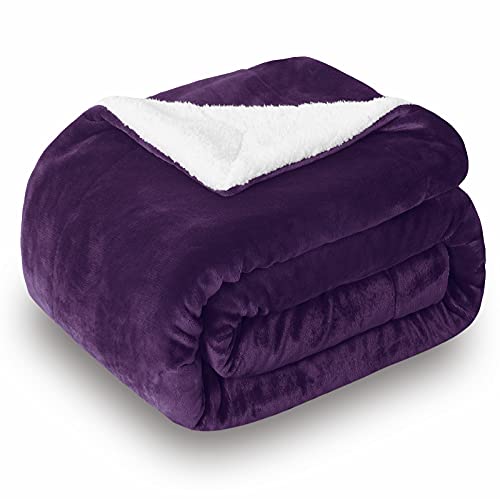 SOCHOW Sherpa Fleece Throw Blanket, Double-Sided Super Soft Luxurious Plush Blanket Twin Size, Malachite Green, 60x80 inches