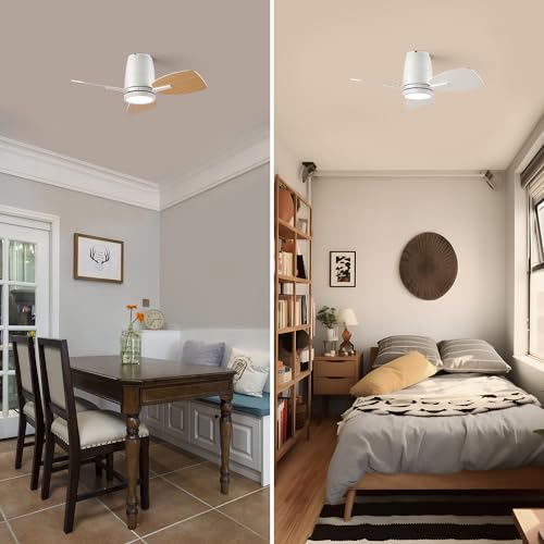 TALOYA Small Ceiling Fans with Lights and Backlight, 32 inch Ceiling Fan with Remote Control, Quiet Reversible DC Motor, 5 CCT Seleactable Modern Ceiling Fans for Bedroom Dining Room Patio White