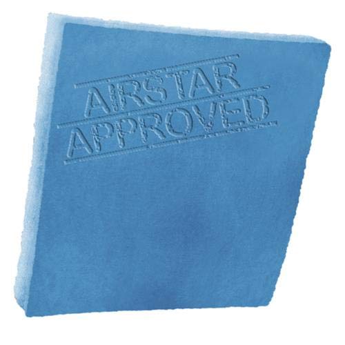 DEFLECTAIR 10 Feet of Blue and White Air Filter Media Roll , MERV6 Polyester Media - 25" Wide