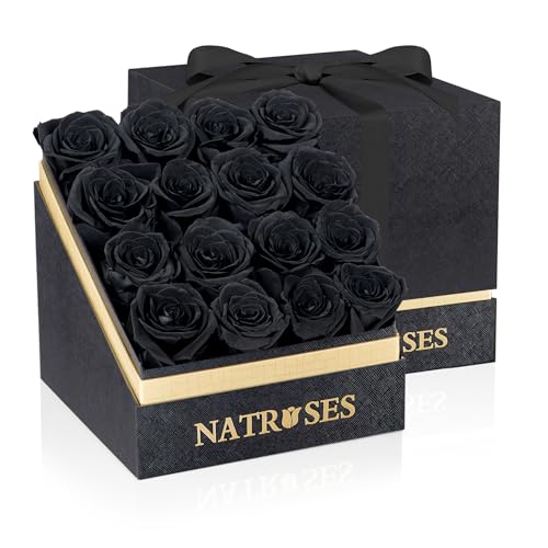 NATROSES Forever Preserved Roses in a Box, 100% Real Roses That Last Up to 3 Years, Flowers for Delivery Prime Birthday, Valentines Day Gifts for Her (Black)