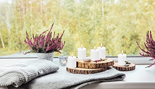 BOLSIUS 4 Pack Fresh Olive Rustic Pillar Candles - 2.75 X 5 Inches - Premium European Quality - Includes Natural Plant-Based Wax - Unscented Dripless Smokeless 60 Hour Party and Wedding Candles