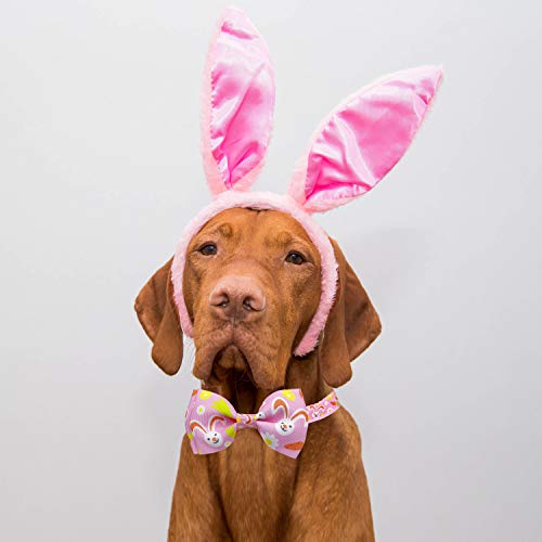 Easter Dog Collar with Bow Tie, Holiday Bunny Carrot Collar for Small Medium Large Dogs (Hoppy Hour/Pink, Small)