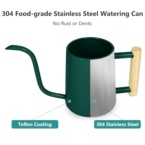 Watering Can Indoor Plants, 35 oz/1000 ml Metal Stainless Steel Watering Can Pot with Long Spout for Indoor House Plants Bonsai Outdoor Garden Flower Decorative (Alpinegreen)